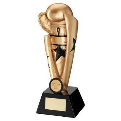 Picture of Gold~black Boxing Star Column With Plate (1in Centre)