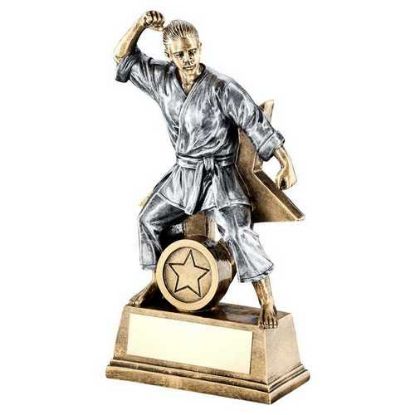 Picture of Brz~gold~pew Female Martial Arts Figure With Star Back And Plate (1in Cen)