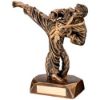 Picture of Brz|gold Resin Karate Figure With Plate - 7.5in