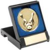 Picture of Black Plastic Box With Ten Pin Insert Trophy Gold - 3.5in