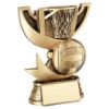 Picture of Brz|gold Cup Range For Netball With Plate -   4.25in