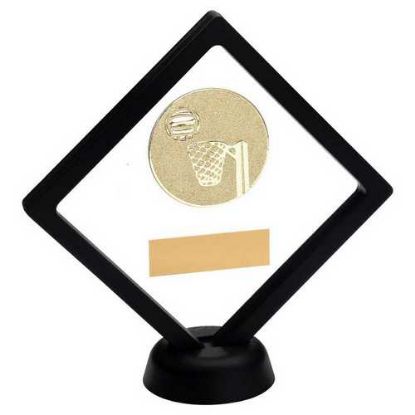 Picture of Black~clear Plastic Box With Netball Insert Trophy Gold