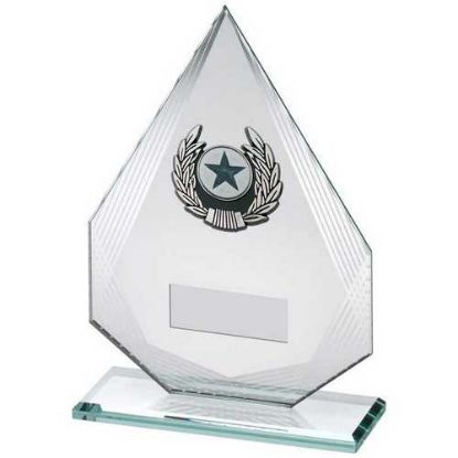 Picture of Jade~silver Diamond Glass With Silv~blk Trim Trophy (1in Centre)
