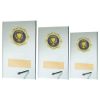 Picture of Jade Glass Rectangle Plaque With Gold Trim Trophy (2in Centre) - 7in
