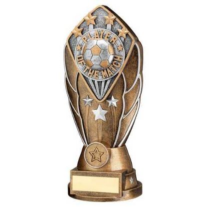 Picture of Brz~silv Diamond Column + Player Of The Match Disc & Plate (1in Cen)