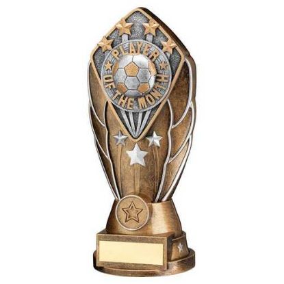 Picture of Brz~silv Diamond Column + Player Of The Month Disc & Plate (1in Cen)