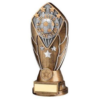 Picture of Brz~silv Diamond Column + Player Of The Year Disc & Plate (1in Cen)