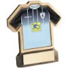 Picture of Brz|gold Resin Football Shirt Plaque With Plate - (Shirt D) 5in
