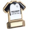Picture of Brz|gold Resin Football Shirt Plaque With Plate - (Shirt D) 5in