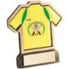 Picture of Brz|gold Resin Football Shirt Plaque With Plate - (Shirt D) 5in