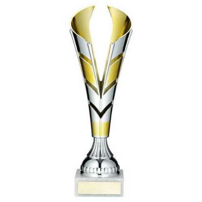 Picture of Silver~gold Plastic V Trophy Cup