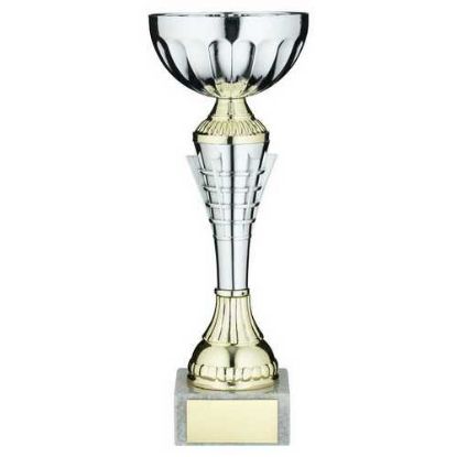 Picture of Silv~gold Spiro Trophy Cup With Plate