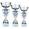 Picture of Silver|blue Shield Trophy Cup With Plate (2in Centre) - 14.25in