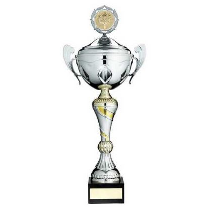 Picture of Silver~gold Trophy Cup With Handles, Lid And Plate (2in Centre)