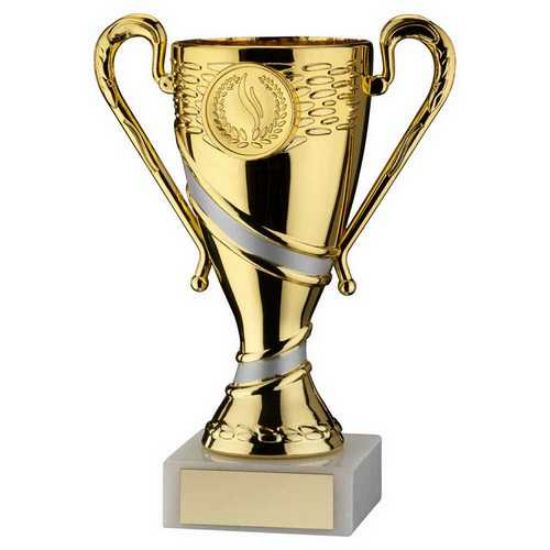 Trophy Distributors - Gold|matt Silver Plastic Trophy Cup With Plate ...