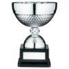 Picture of Silver Dimple Bowl Trophy With Plate - 9.5in