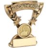 Picture of Brz|gold Man Of The Match Mini Cup With Gaelic Football Insert And Plate - 3.75"