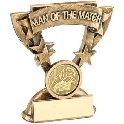 Picture of Brz~gold Man Of The Match Mini Cup With Gaelic Football Insert And Plate