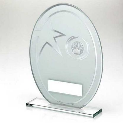 Picture of White~silver Printed Glass Oval With Gaelic Football Insert And Plate