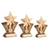 Picture of Brz|gold Generic Star With Badminton Insert With Plate - 6.25in