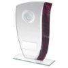 Picture of Jade Glass With Claret|silver Marble Detail And Golf Insert With Plate - 8in