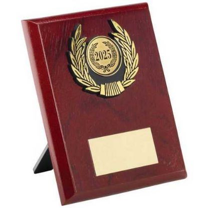 Picture of Rosewood Plaque And Gold Trim Assembled Trophy (1in Centre)