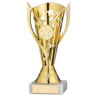 Picture of Gold Plastic Flash Cup Assembled On Marble     (1in Cen)