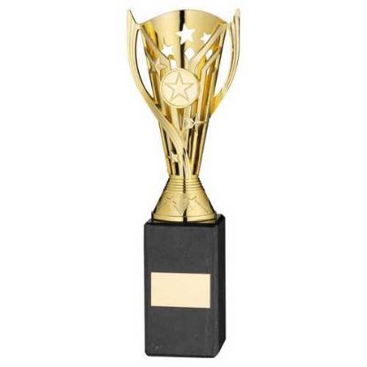Picture of Gold Plastic Flash Cup On Black Marble Assembled Trophy (1" Cen) - 10in