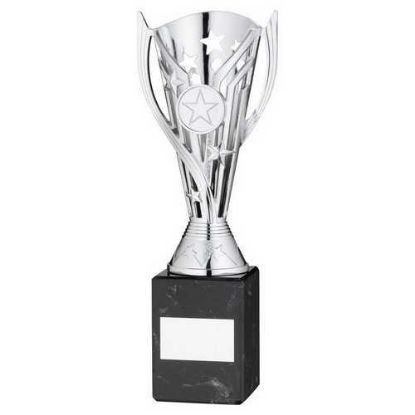 Picture of Silver Plastic Flash Cup On Black Marble Assembled Trophy (1" Cen) - 9in