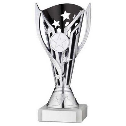 Picture of Silver~black Plastic Flash Cup Assembled On Marble (1in Cen)