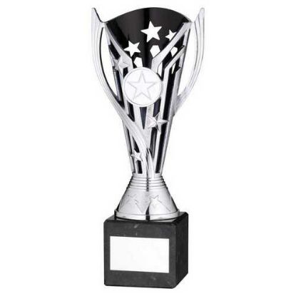 Picture of Silver|blk Plastic Flash Cup On Blk Marble Assembled Trophy (1" Cen) - 8in