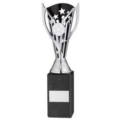 Picture of Silver|blk Plastic Flash Cup On Blk Marble Assembled Trophy (1" Cen) - 10in