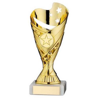 Picture of Gold Plastic Sabre Cup Assembled On Marble     (1in Cen)