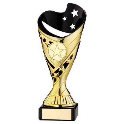 Picture of Gold|blk Plastic Sabre Cup On Blk Marble Assembled Trophy (1" Cen) - 6.75in