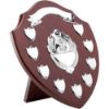 Picture of Mahogany Shield With Chrome Fronts And 9 Record Shields (1in Centre) - 12.75in