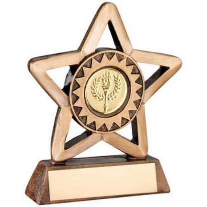 Picture of Brz|gold Resin Generic Mini Star With Plate     (1in Centre) - 3.75in