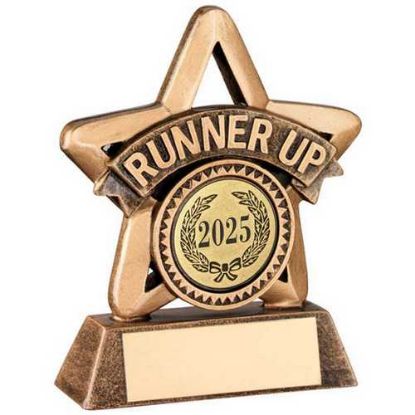 Picture of Brz~gold Resin Mini Star With Plate (1in Centre) R Up