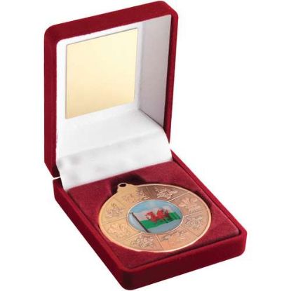 Picture of Red Velvet Box And 50mm Bronze Medal Wales Trophy (1in Centre)