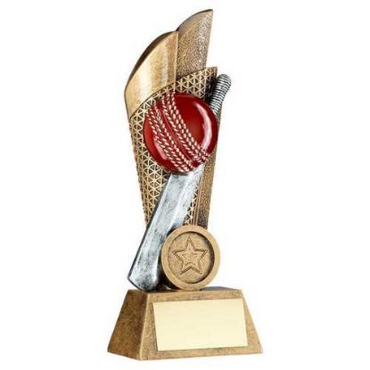 Picture of Brz~pew~gold Cricket Ball And Bat On Mesh Backdrop With Plate (1in Cen)