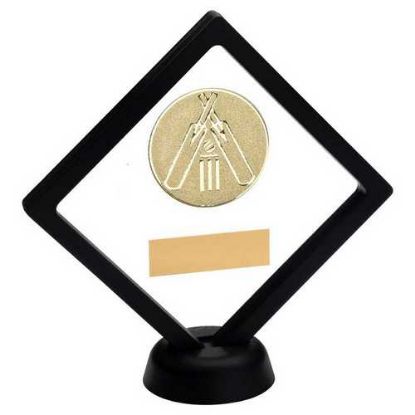 Picture of Black~clear Plastic Box With Cricket Insert Trophy Gold