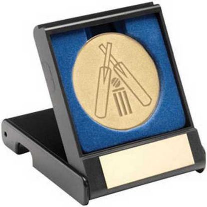 Picture of Black Plastic Box With Cricket Insert Trophy Gold