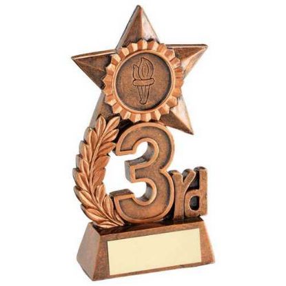 Picture of Leaf And Star Award With Plate (1in Centre) Bronze 3rd