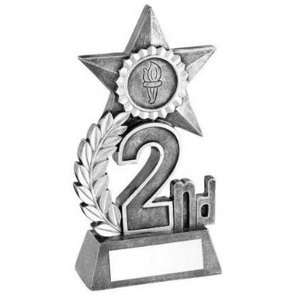 Picture of Leaf And Star Award With Plate (1in Centre) Silver 2nd