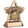 Picture of Brz|gold Resin Mini Star With Plate Wnr (1in Centre) - 4.25in