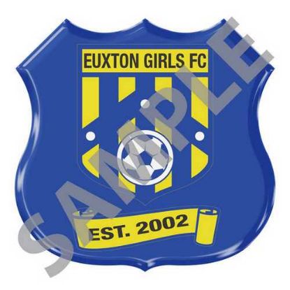 Picture of Special Centre Shield Shape 56 X 56mm