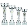 Picture of Silver Trophy Cup With Gold Wreath - 9.5in