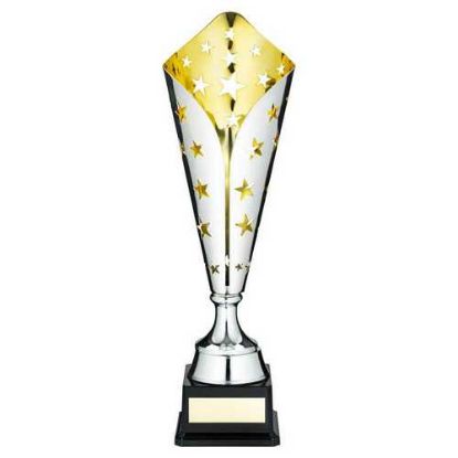 Picture of Silver~gold Metal Star Trophy Cup