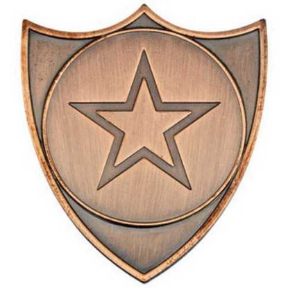 Picture of Shield Badge (1in Centre) Bronze