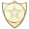 Picture of Shield Badge (1in Centre) Gold - 1.5in