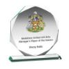 Picture of Jade Glass Octagon (10mm Thick) - 8.75in